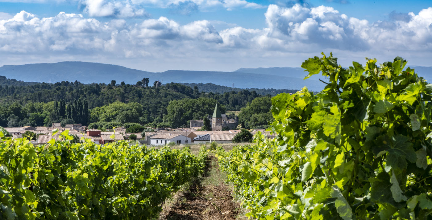 Château Villegly nouveau domaine de 60ha en AOC Minervois Les