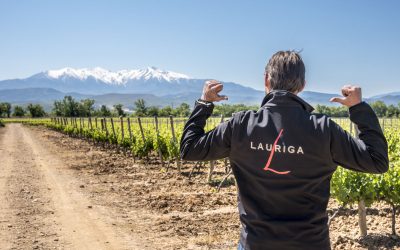 Château Lauriga, le vignoble du Roussillon au pied des Pyrénées