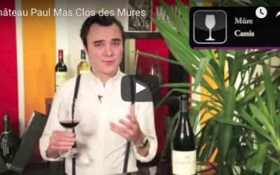 Château Paul Mas Clos des Mures par Avenue des vins