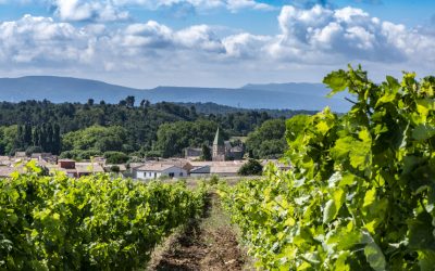 Château Villegly, nouveau domaine de 60ha en AOC Minervois