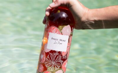 Rosé wines “must-have”  from the South of France
