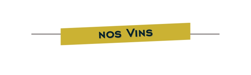 Viticulture - Domaines Paul Mas